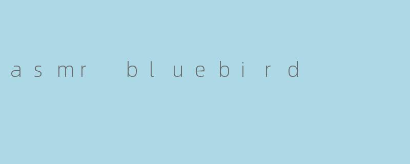 ASMRBluebird:一场温柔治愈的听觉盛宴